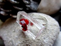 /album/bildgalleri/img-2-0350-jpg1/